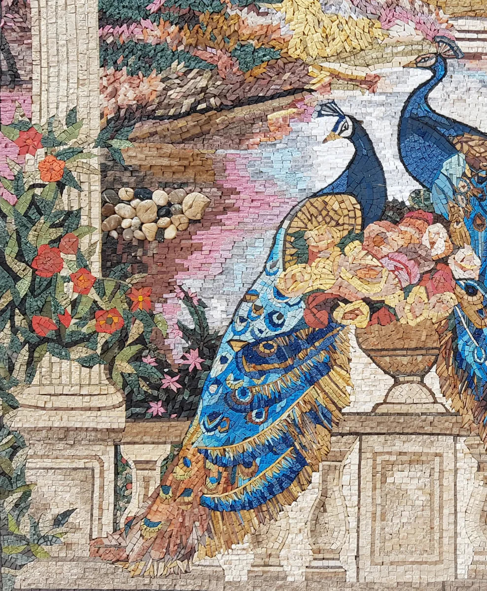 Two Cerulean Peacocks
