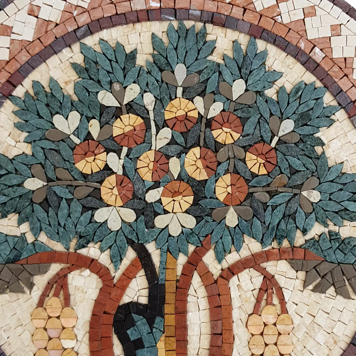 Round Tree of Life