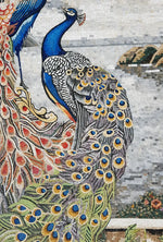 Two Brightly Colored Peacocks